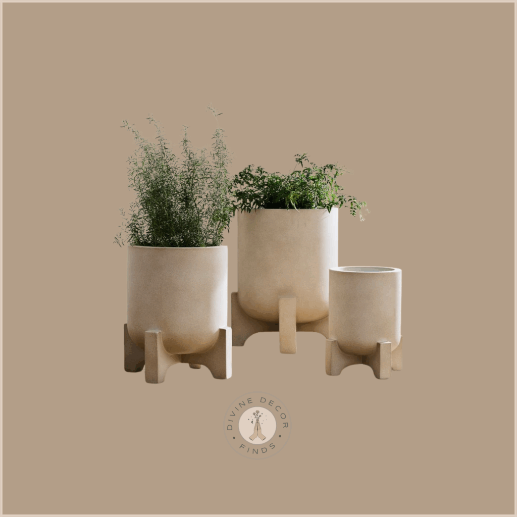 Organic Modern Planters
