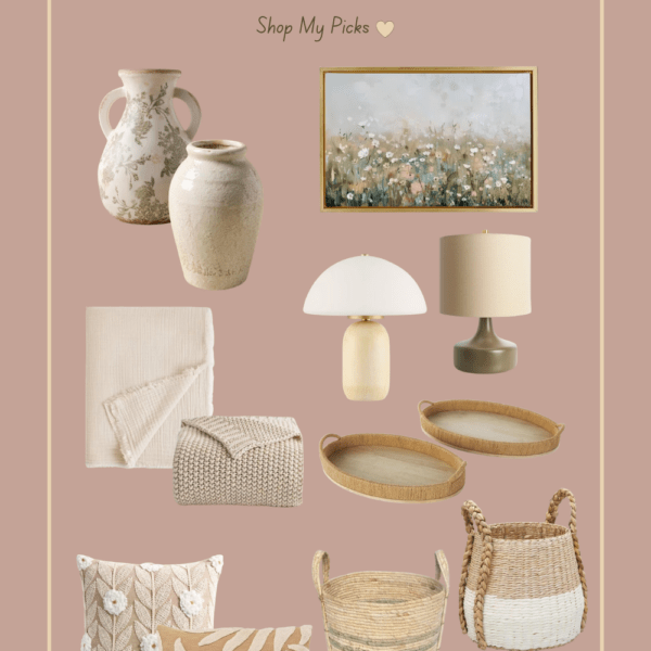 affordable organic modern decor