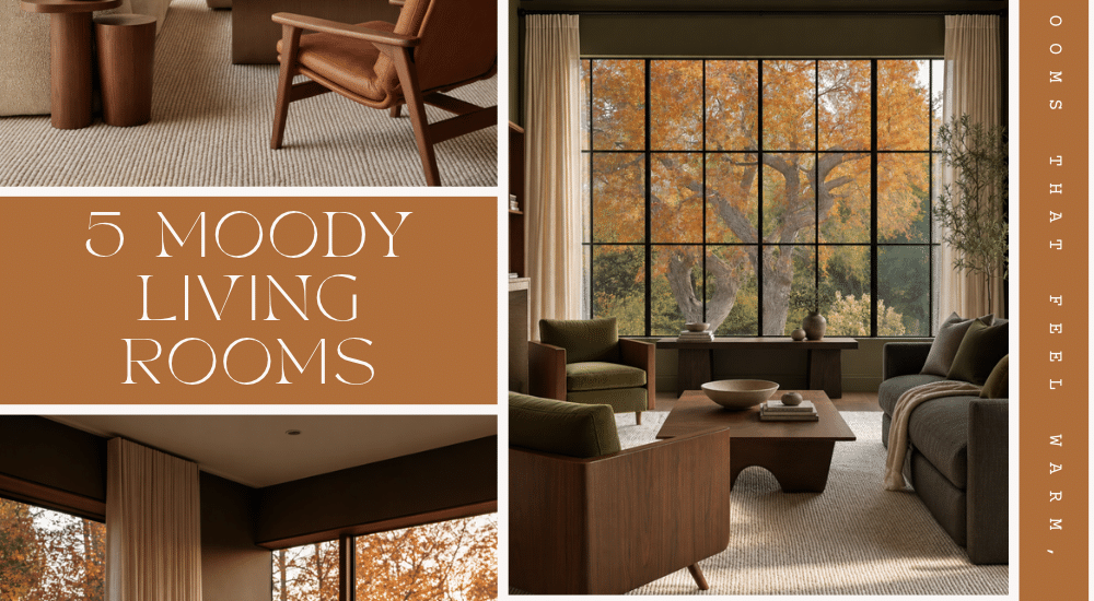 Design Gallery: 5 Moody Organic Modern Living Rooms That Feel Warm, Not Dark