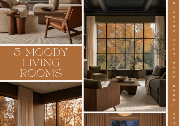 moody organic modern living room