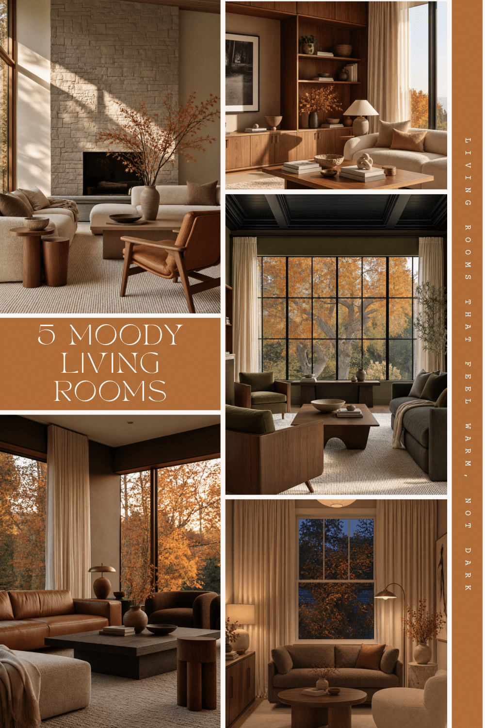 moody organic modern living room